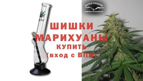 PSILOCYBIN Горно-Алтайск