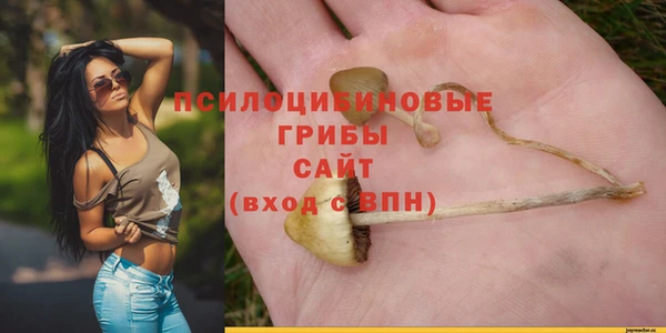 PSILOCYBIN Горно-Алтайск