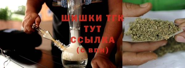 мдпв Горнозаводск