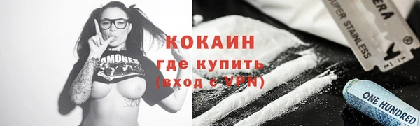 PSILOCYBIN Горно-Алтайск