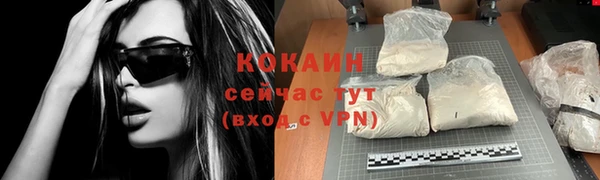 мдпв Горнозаводск