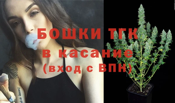 гашик Вяземский