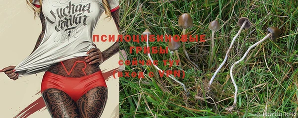 мдпв Горнозаводск