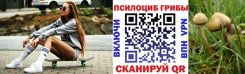Купить где Покров Галлюциногенные грибы Psilocybine cubensis